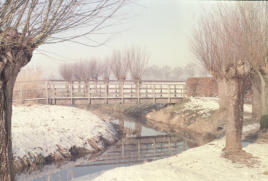 Analoog