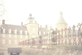 Analoog