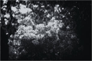 Bokeh of Lensflair