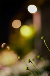 Bokeh of Lensflair